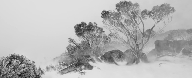 Kunanyi by Joe Shemesh