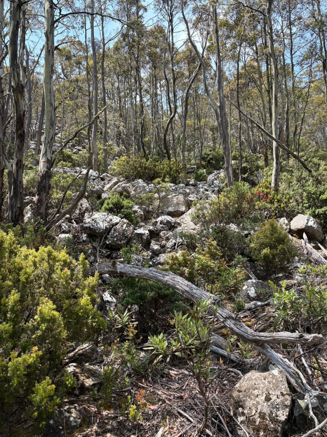 Kunanyi Rufus Murphy