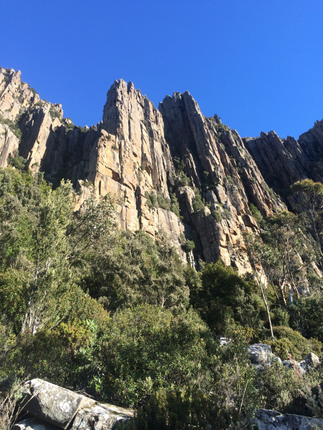Organ Pipes kunanyi