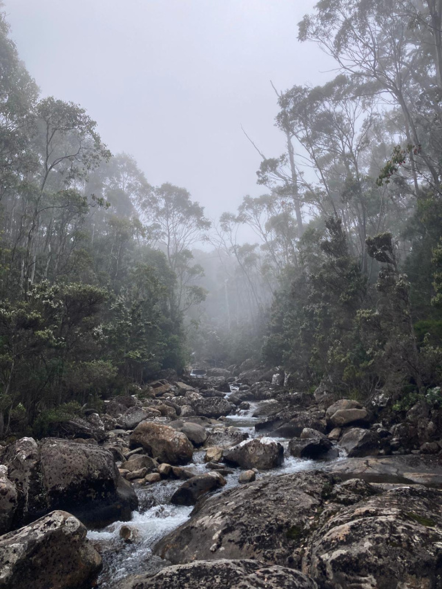 River Mt Wellington Rufus Murphy