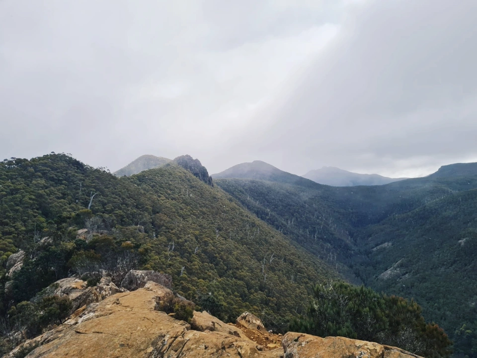 View from Cathedral Rock by Felix Lewis