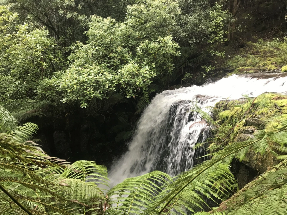 Silver Falls kunanyi from above