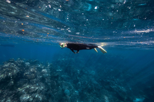 Snorkeller Mai Roper low res