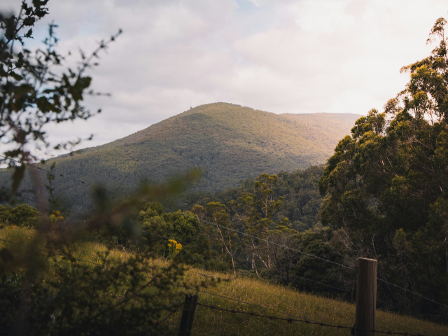 Pat whelen Mount DB 3