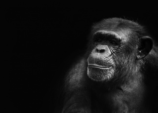 Photo by Rishi Ragunathan on Unsplash