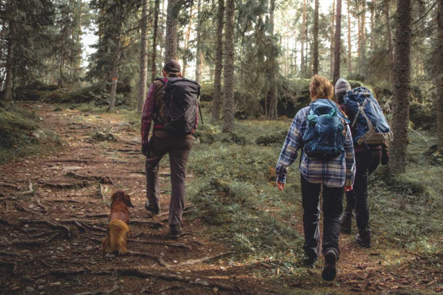 People hiking pine forest Sweden by Tilde Bergstrom