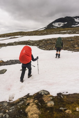 Tilde Bergstrom Sweden hiking 08239