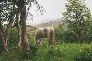 Tilde Bergstrom Sweden hiking 08281
