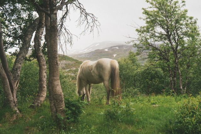 Tilde Bergstrom Sweden hiking 08281