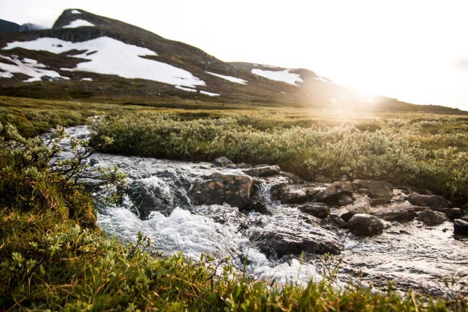 Mountain stream Helags Sweden by Tilde Bergstrom