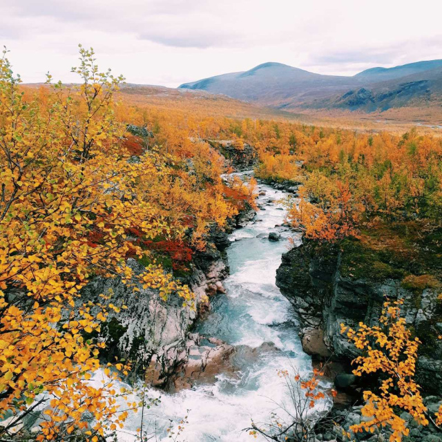 Sweden Autumn colors stream Kebnekaise by Tilde Bergstrom