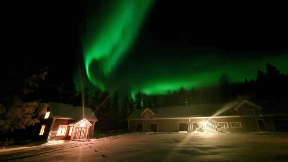 Northern Lights Staggtrask Sweden