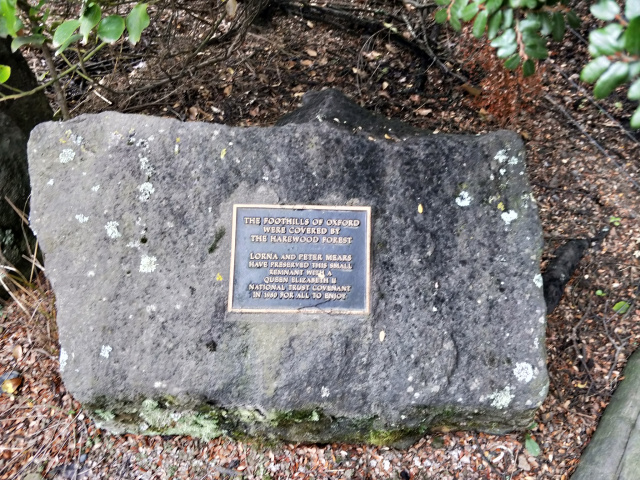 Mears Track Plaque Helen Cushing