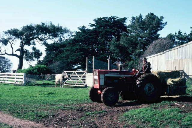 Christine Milnes father on tractor Wesley Vale farm