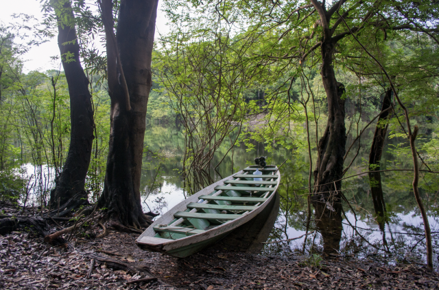 Amazon Boat