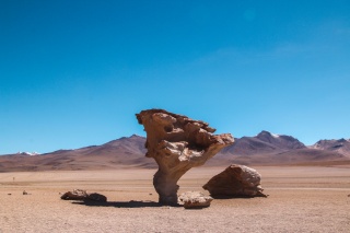 Arbol de piedra 1130 Tilde Bergstrom