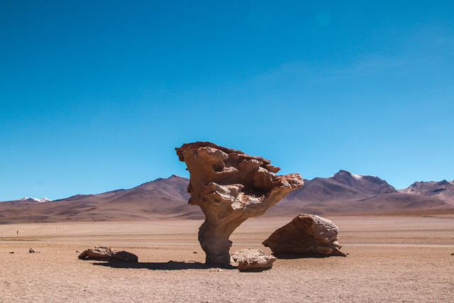 Arbol de piedra 1130 Tilde Bergstrom