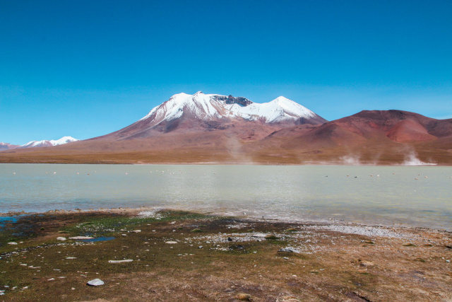 Laguna Canapa 1110 Tilde Bergstrom