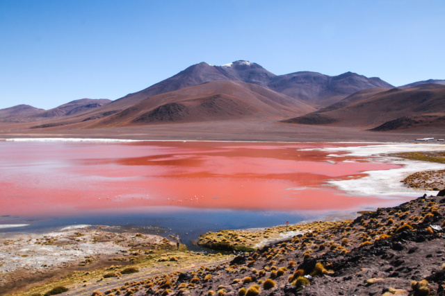 Laguna Colorada 1161 Tilde Bergstrom