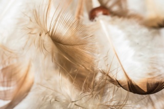 Julian hanslmaier l Y Mb Hxtnt Ro unsplash