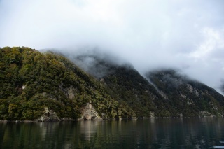 Lake Manapouri Dave Campbell