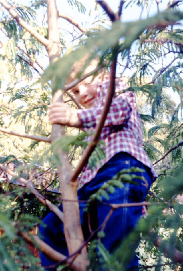 Phill climbing wattle as kid