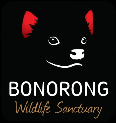 Bonorong Wildlife Sanctuary