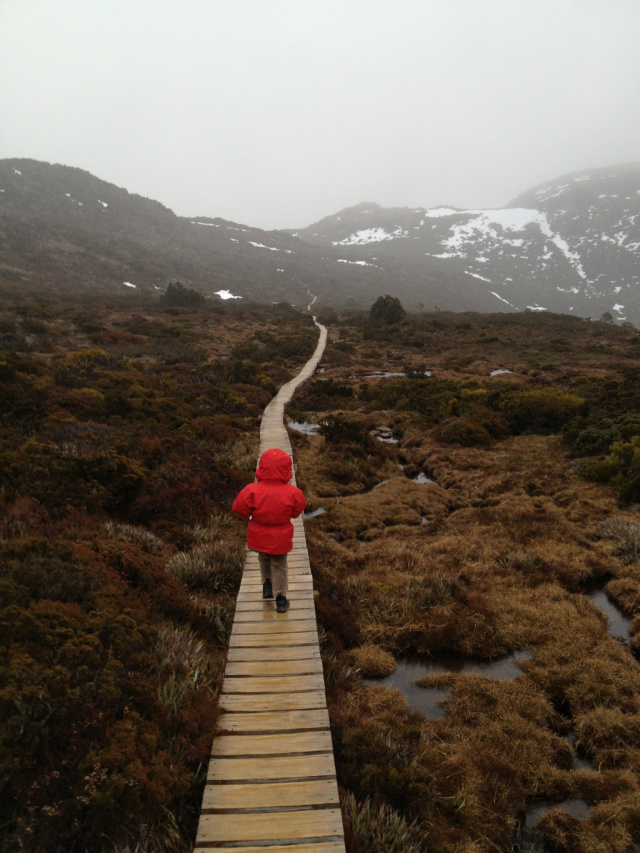 Kid walking at Mt Field
