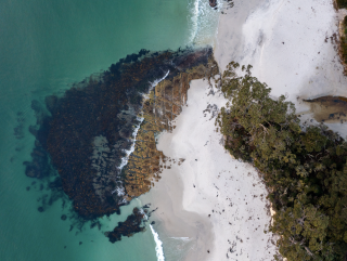 Bruny Island Dan Broun