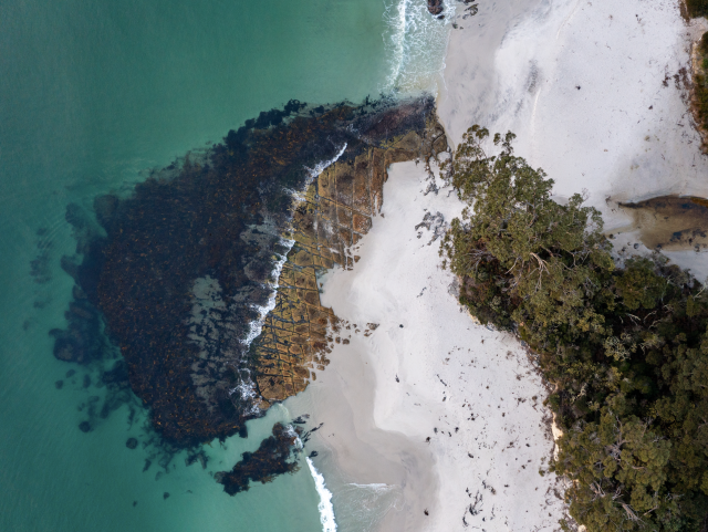 Bruny Island Dan Broun