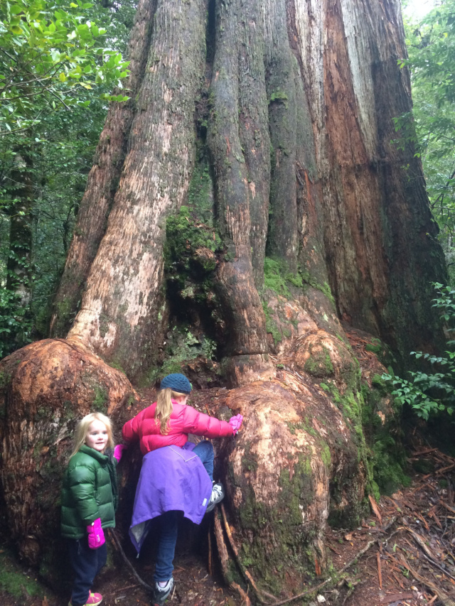 Kids in the Styx Phill Pullinger