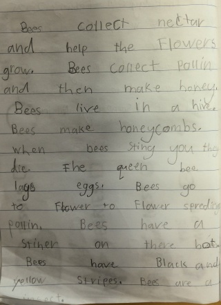 Bees Aurora aged 7