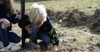 Bruny kids trees