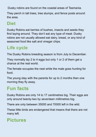 Dusky robin by Pheobe Hursey age 10 2