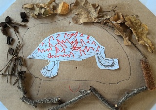 Echidna in burrow