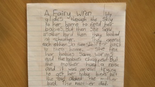 Fairy Wren by Lily Buczek age 7