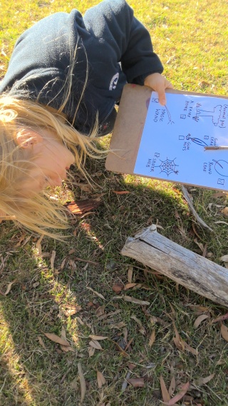 Finding treasure