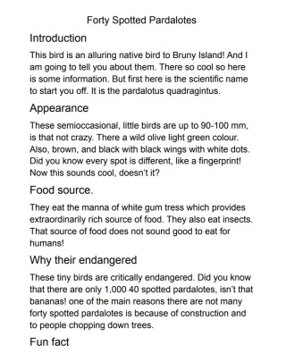 Forty spotted pardalotes by Lottie Morgan age 10 1