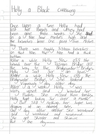 Holly a black currawong by Chloe Large age 10 1