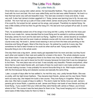 Little pink robin Lottie Wells