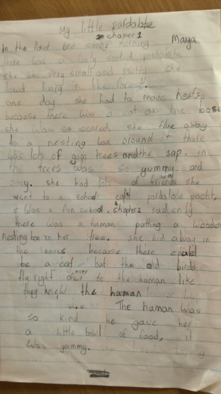 My Little Pardalote by Maya Archer chapter 1