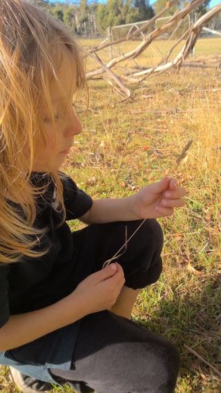 Natures treasure