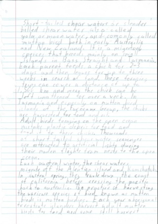 Peter Murnane Brunt Island Bird Writing 1