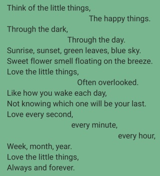 Poem by Bruny kids