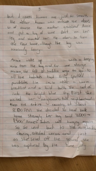 Story by August Lillico Kernery age 8 THREE