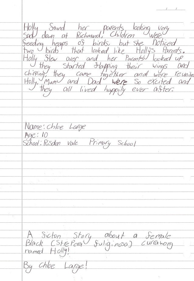 Holly a black currawong by Chloe Large age 10 2