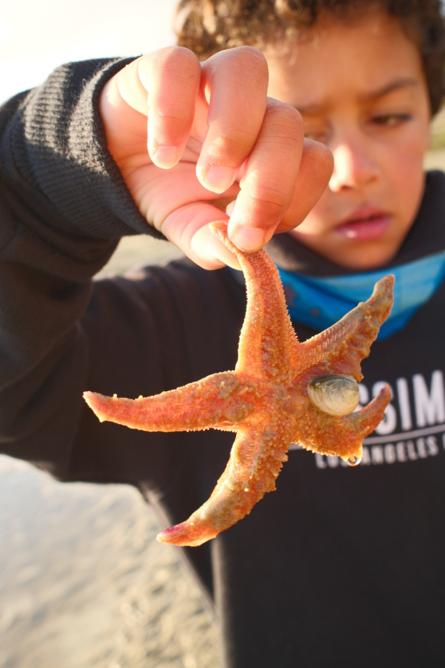 Julian holding a sea star