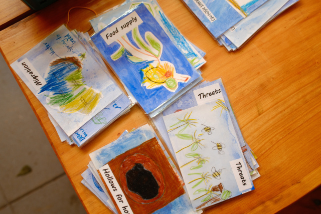 Bruny Kids swiftie card game