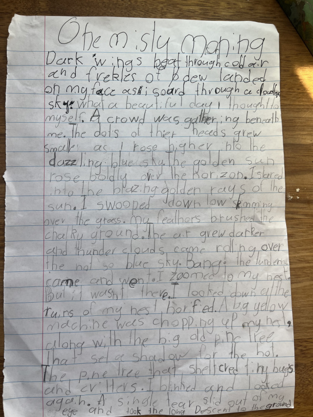 Archie Fowler Bruny Island District School Aged 9