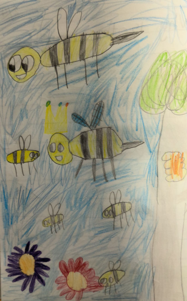 Bees T Illy aged 7
